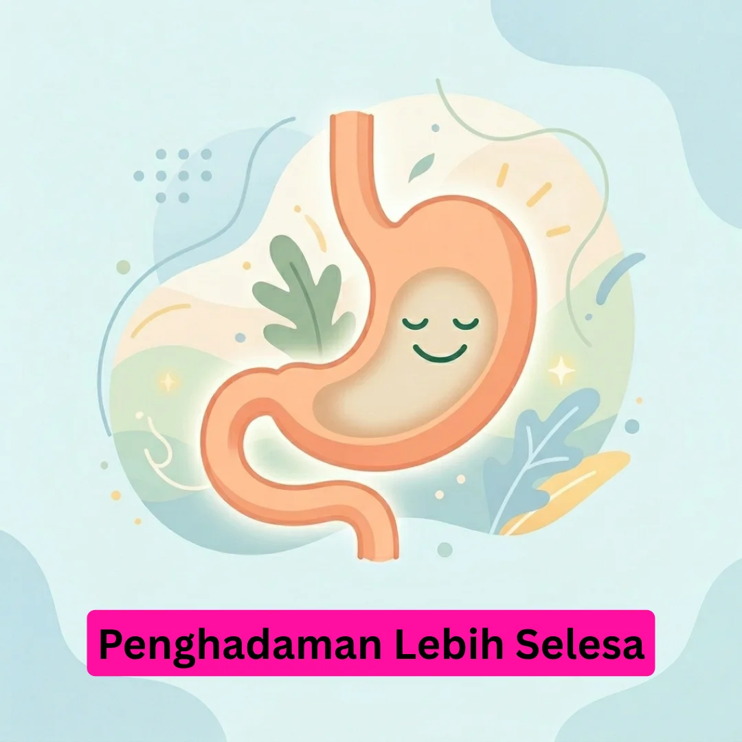 Hilang Rasa Sebu